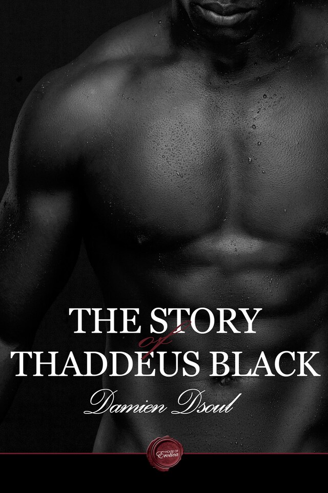 Boekomslag van The Story of Thaddeus Black