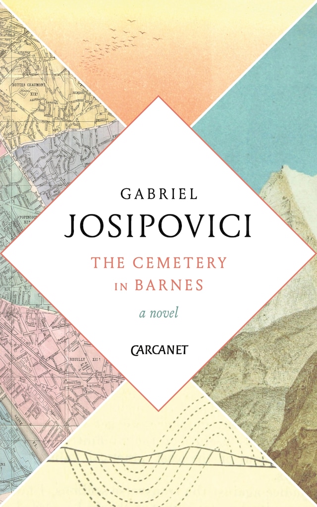 Book cover for The Cemetery in Barnes