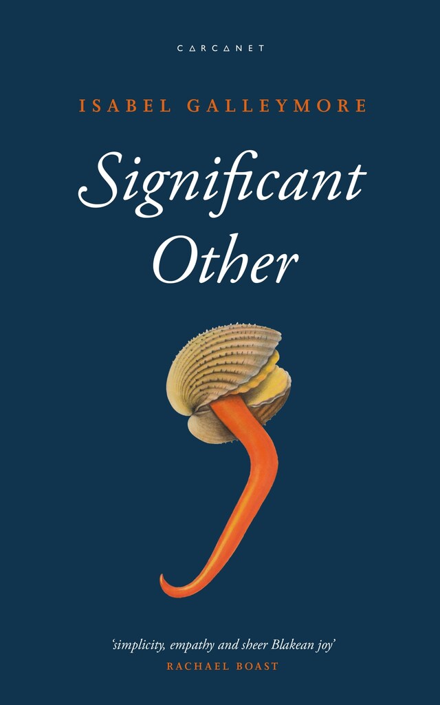 Book cover for Significant Other