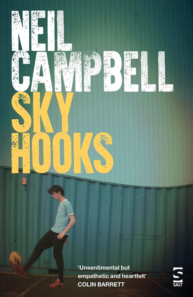 Portada de libro para Sky Hooks