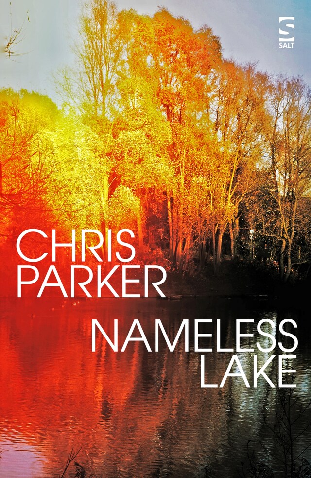 Book cover for Nameless Lake