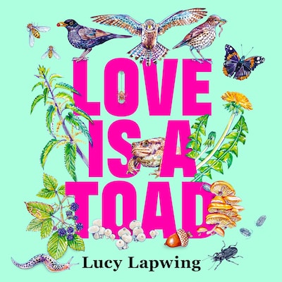Love Is A Toad