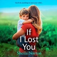 If I Lost You - A BRAND NEW unforgettable story of love and hope from Sheila Norton for 2025 (Unabridged)