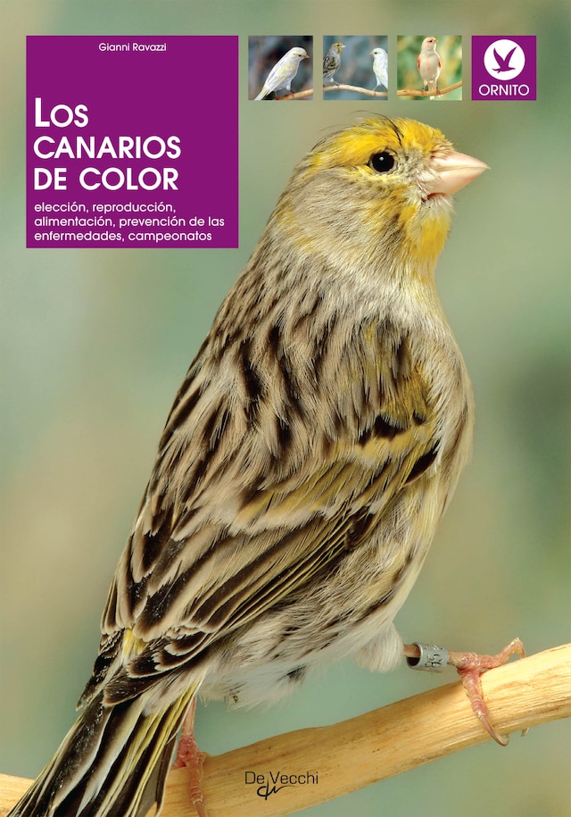 Book cover for Los canarios de color