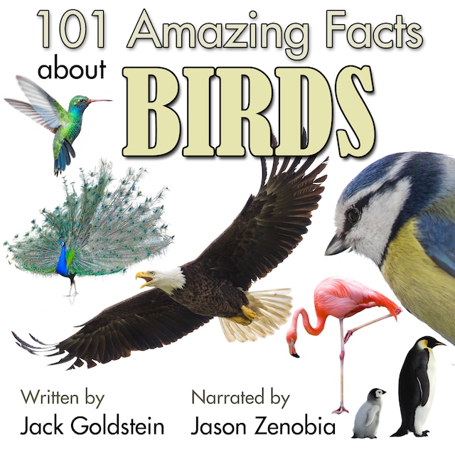 Bogomslag for 101 Amazing Facts about Birds