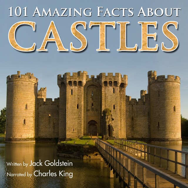 Buchcover für 101 Amazing Facts about Castles