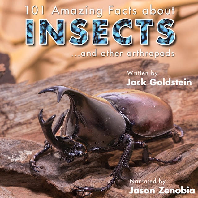 Book cover for 101 Amazing Facts about Insects