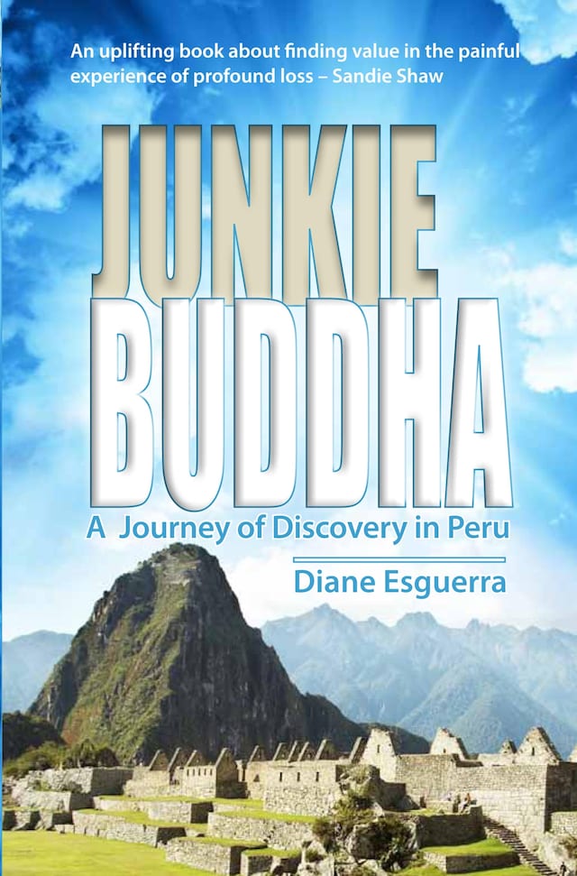 Book cover for Junkie Buddha