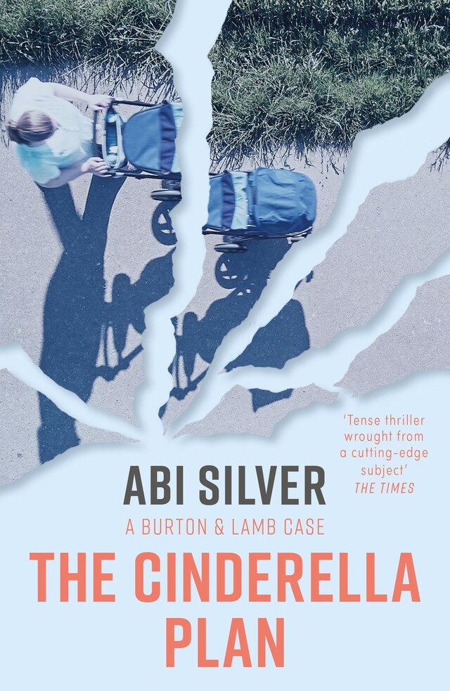 Book cover for The Cinderella Plan