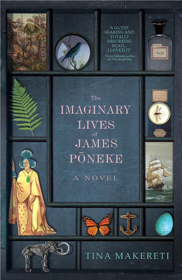 Kirjankansi teokselle The Imaginary Lives of James Poneke