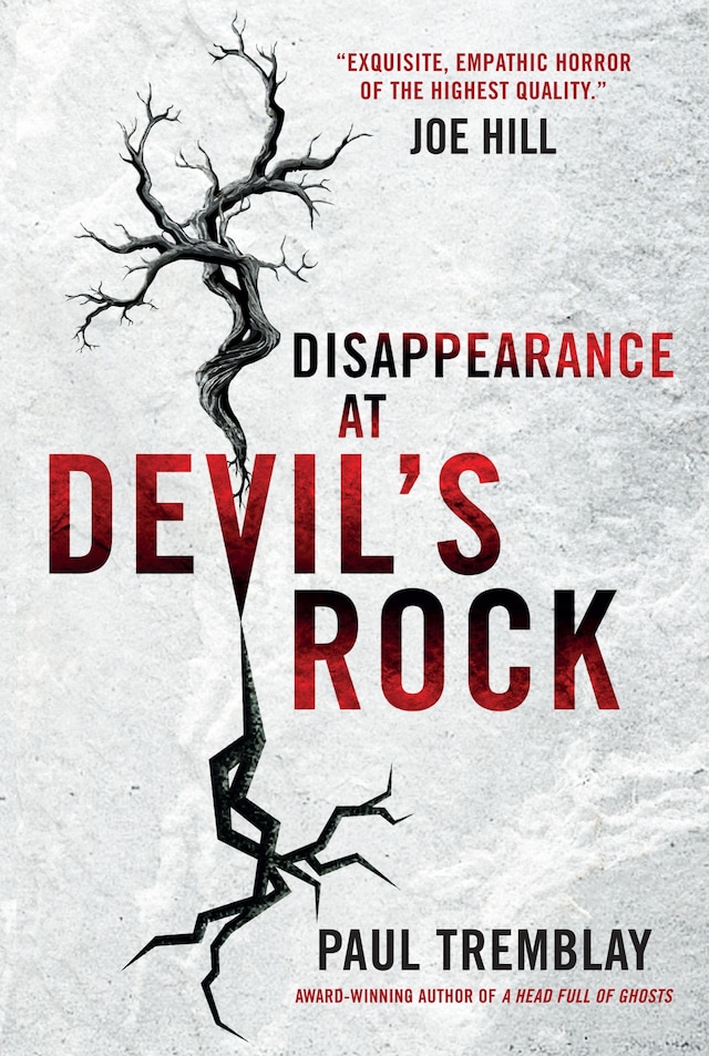 Book cover for Disappearance at Devil's Rock