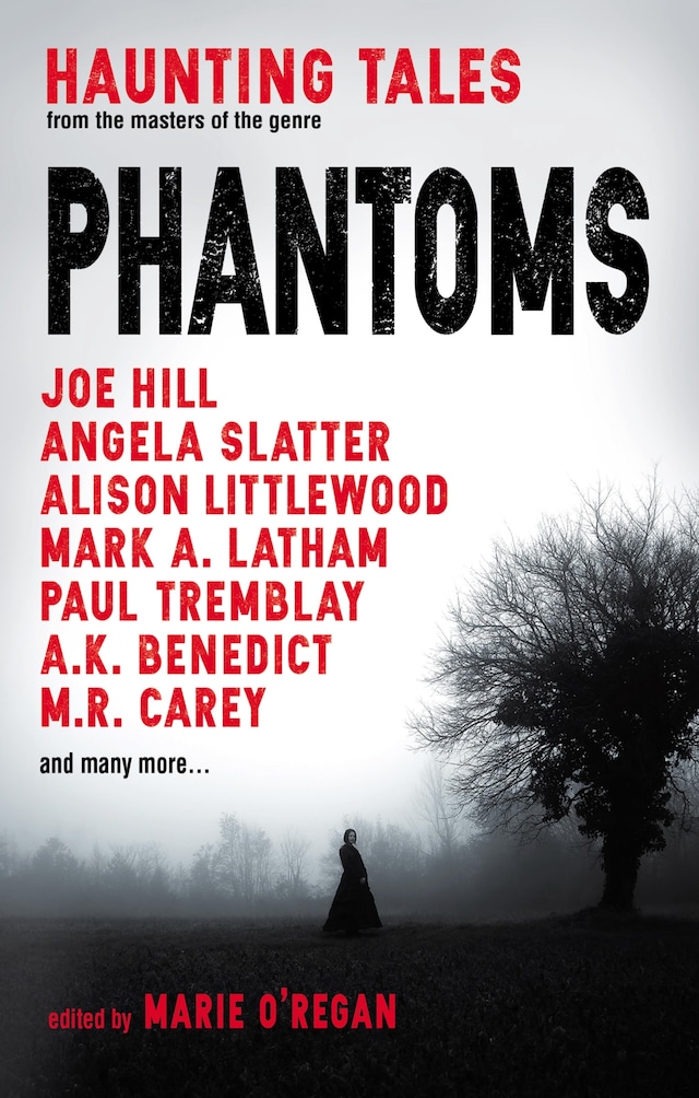 Buchcover für Phantoms