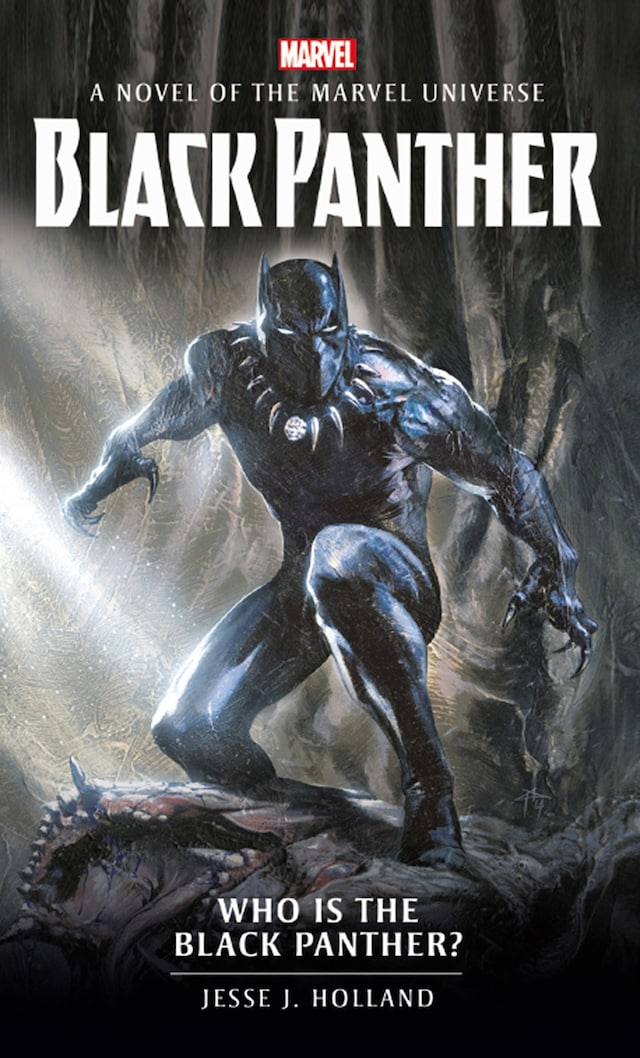Book cover for Who is the Black Panther?