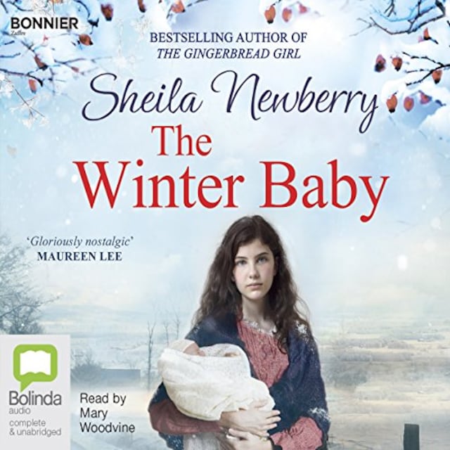 Book cover for The Winter Baby