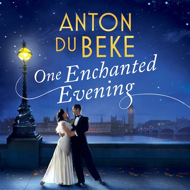 Buchcover für One Enchanted Evening