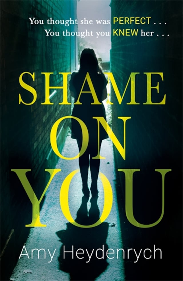 Buchcover für Shame on You