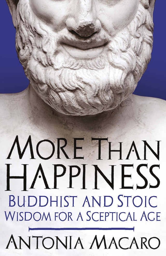 Book cover for More Than Happiness