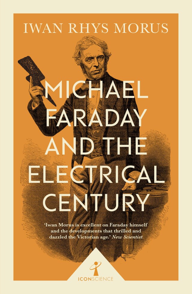 Buchcover für Michael Faraday and the Electrical Century (Icon Science)