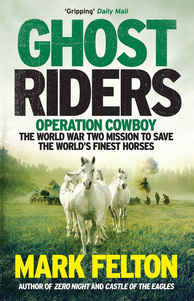 Book cover for Ghost Riders