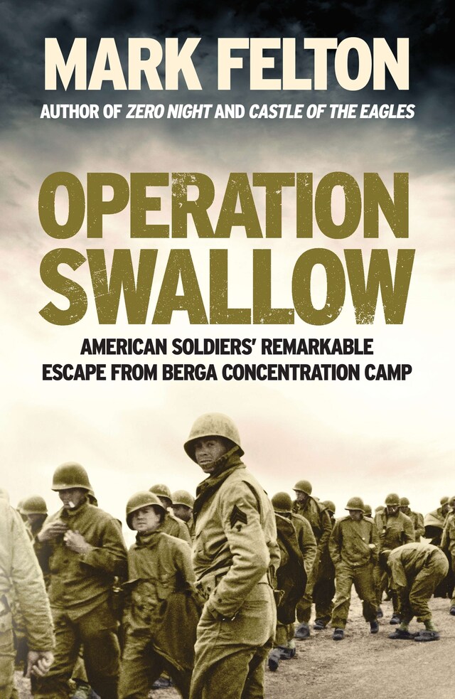 Book cover for Operation Swallow