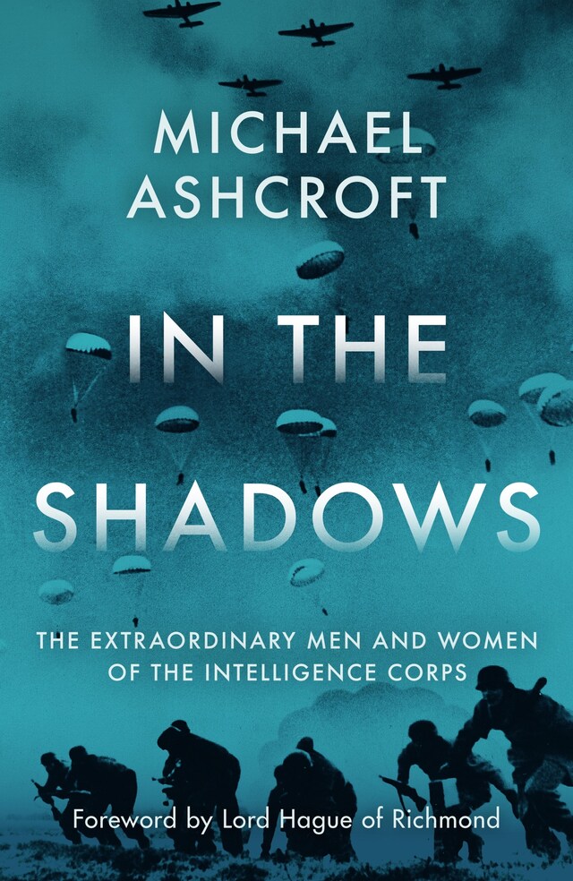 Book cover for In the Shadows