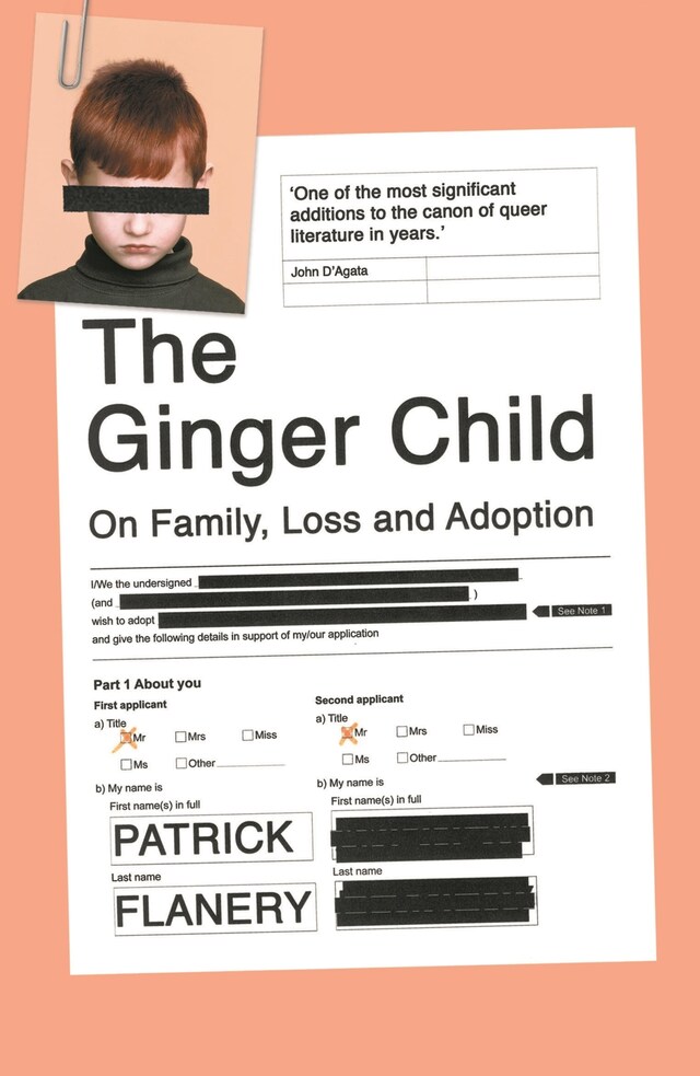 Book cover for The Ginger Child