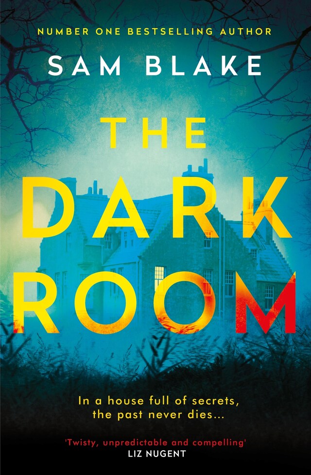 Book cover for The Dark Room