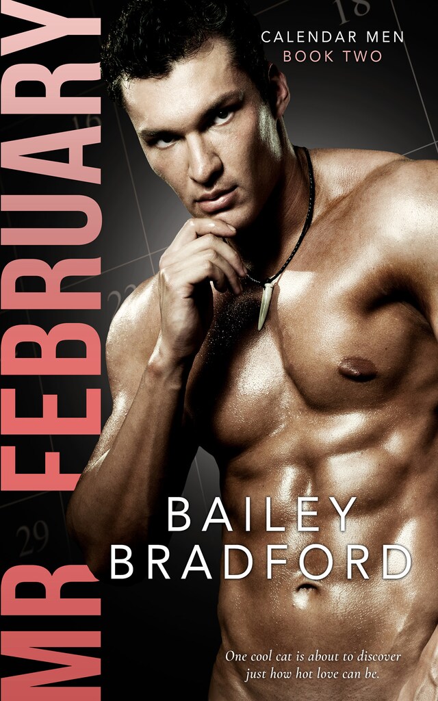 Book cover for Mr. February