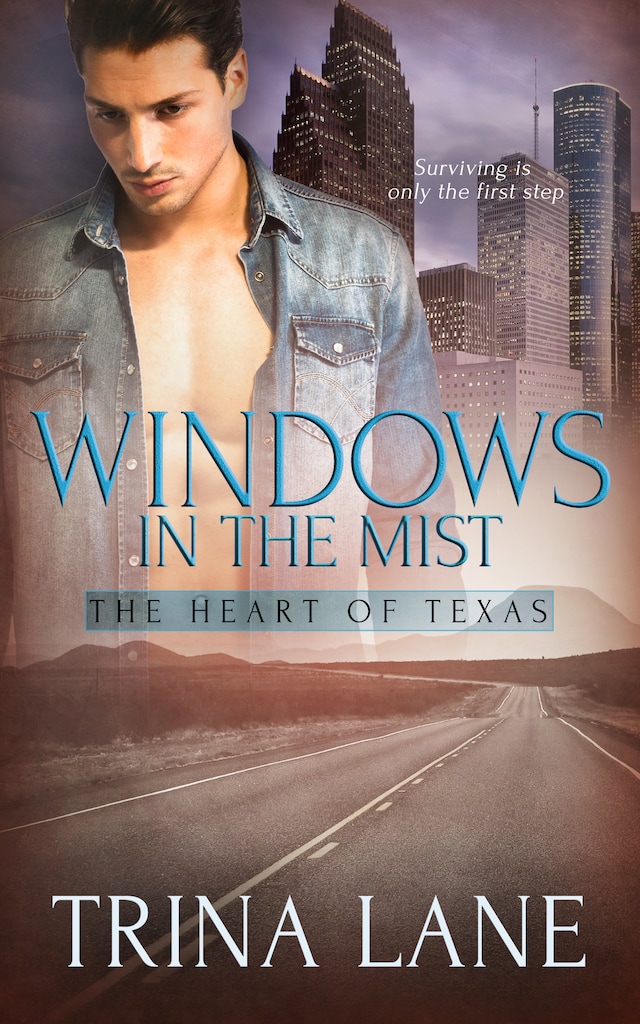 Book cover for Windows in the Mist