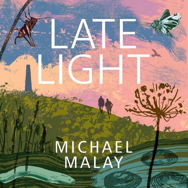 Book cover for Late Light