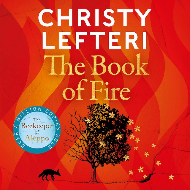 Book cover for The Book of Fire