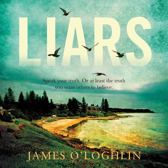 Book cover for Liars