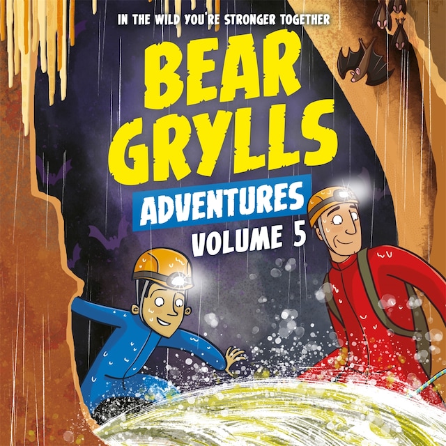 Book cover for Bear Grylls Adventures Volume 5