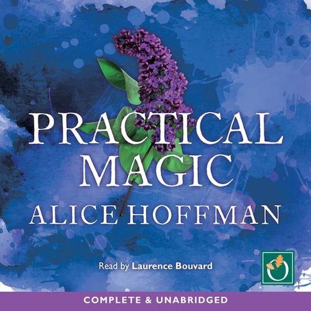 Portada de libro para Practical Magic