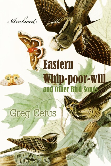 Eastern Whip-poor-will and Other Bird Songs: Nature Sounds for Trance and Meditation bookCoverFor