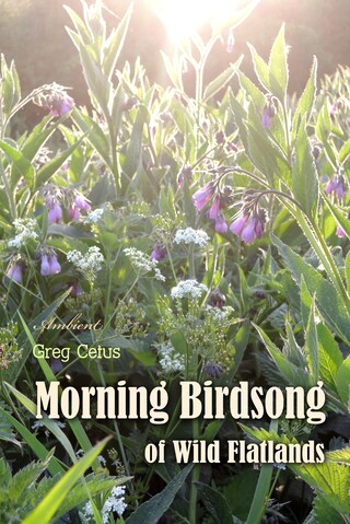 Morning Birdsong of Wild Flatlands bookCoverFor
