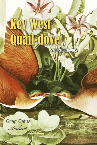 bookCoverFor