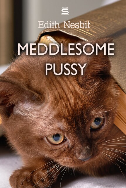 Meddlesome Pussy bookCoverFor