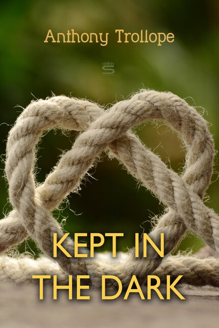 Kept in the Dark bookCoverFor