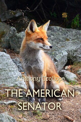 The American Senator bookCoverFor