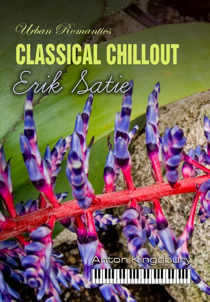 Classical Chillout: Erik Satie bookCoverFor
