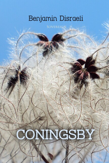 Coningsby: The New Generation bookCoverFor