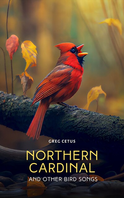bookCoverFor
