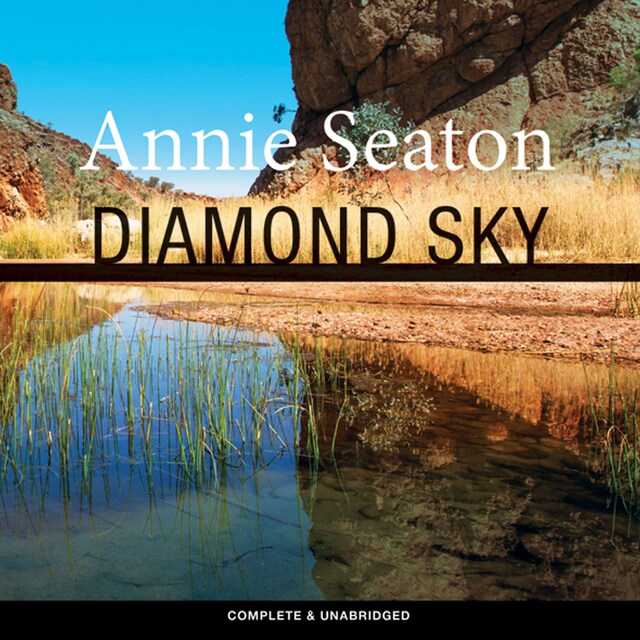 Book cover for Diamond Sky