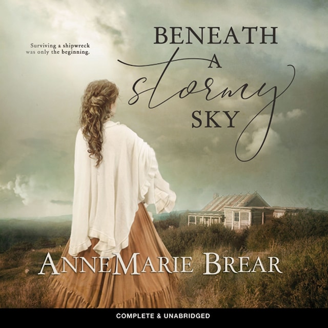 Couverture de livre pour Beneath a Stormy Sky