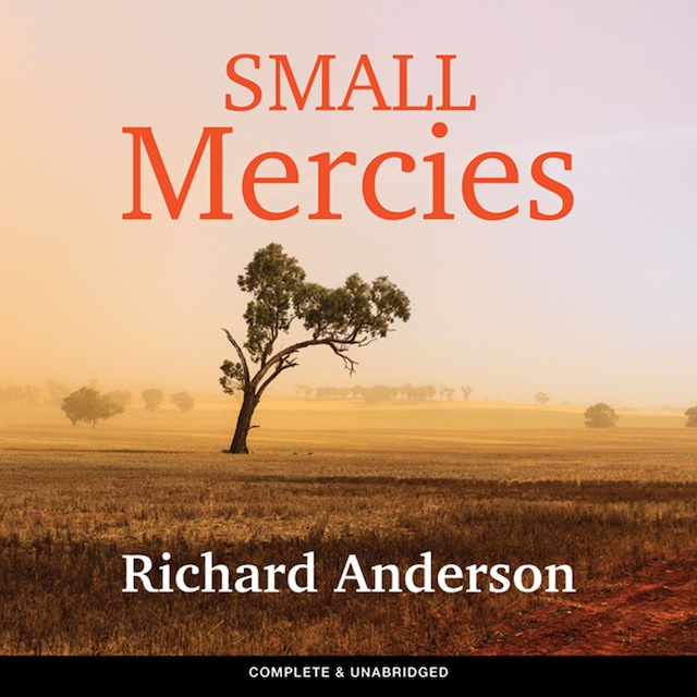 Book cover for Small Mercies