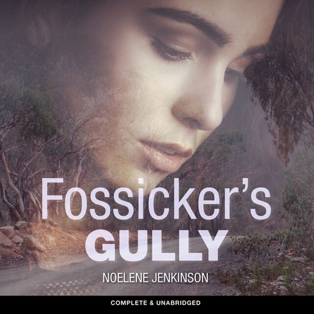 Fossicker's Gully Book cover for Fossicker's Gully
