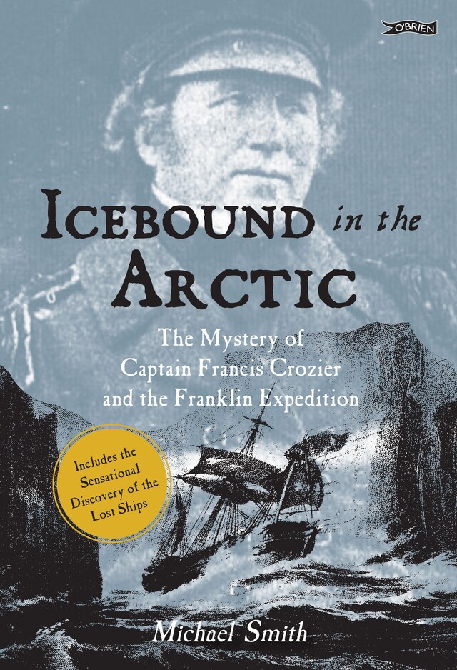 Buchcover für Icebound In The Arctic