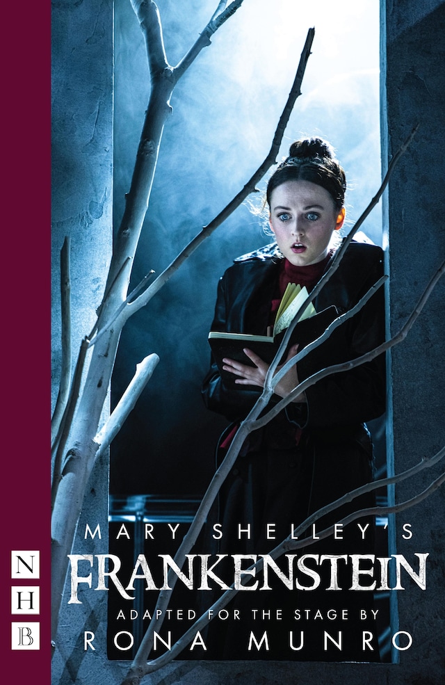 Buchcover für Mary Shelley's Frankenstein (NHB Modern Plays)