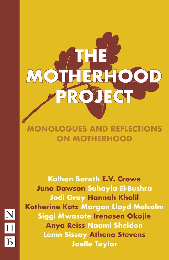 Okładka książki dla The Motherhood Project